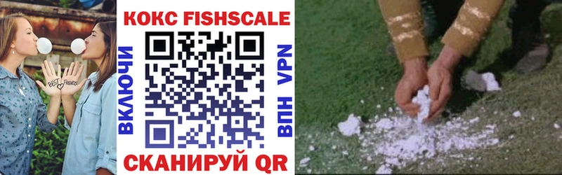 закладка  Дигора  мега сайт  КОКАИН Fish Scale 