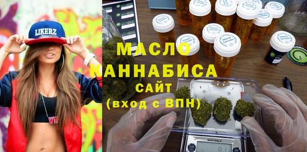 гидра Каменка