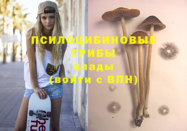 гашик Беломорск